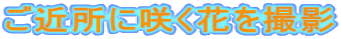 $B$46a=j$K:i$/2V$r;#1F(B