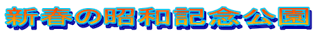 新春の昭和記念公園